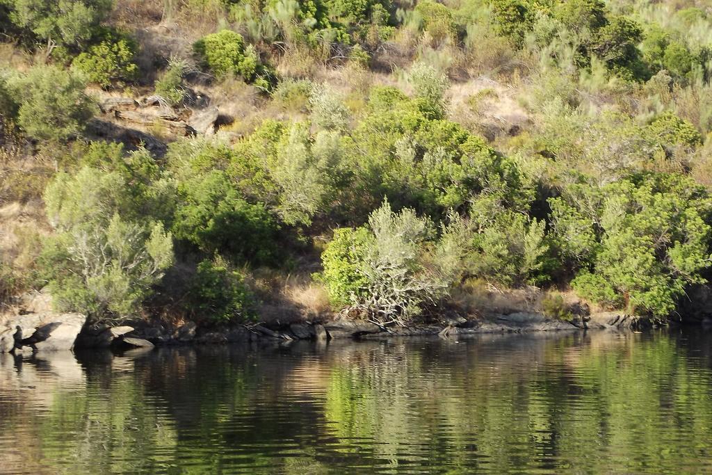 Casa Dos Xares Konuk evi Rosmaninhal  Dış mekan fotoğraf