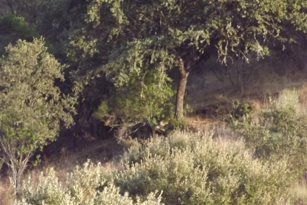 Casa Dos Xares Konuk evi Rosmaninhal  Dış mekan fotoğraf